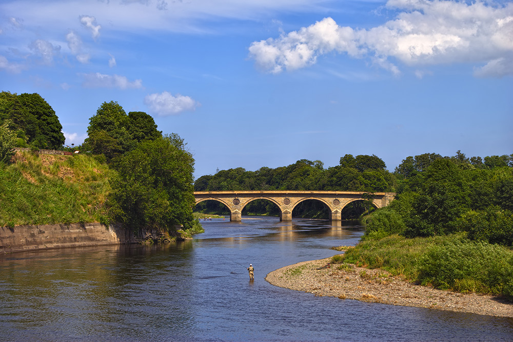 Angler in the river Tweed near Coldstream, Scotland