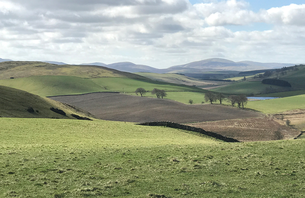 Solicitors and Estate agents in the Scottish Borders Hastings Legal