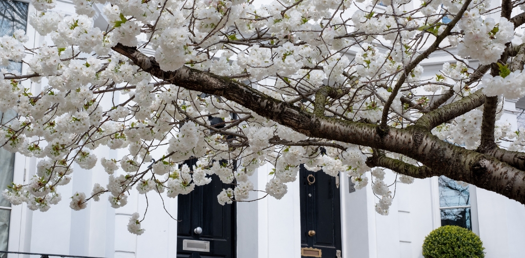 Spring into action: Get MARKET-READY for a successful sale.